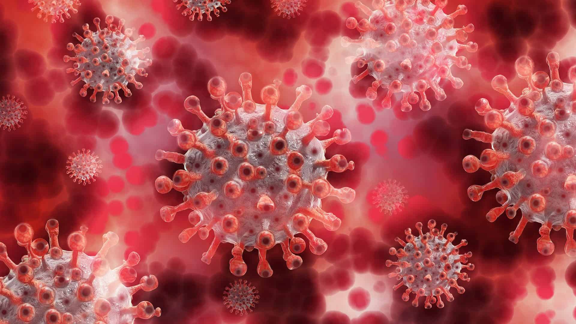 Coronavirus