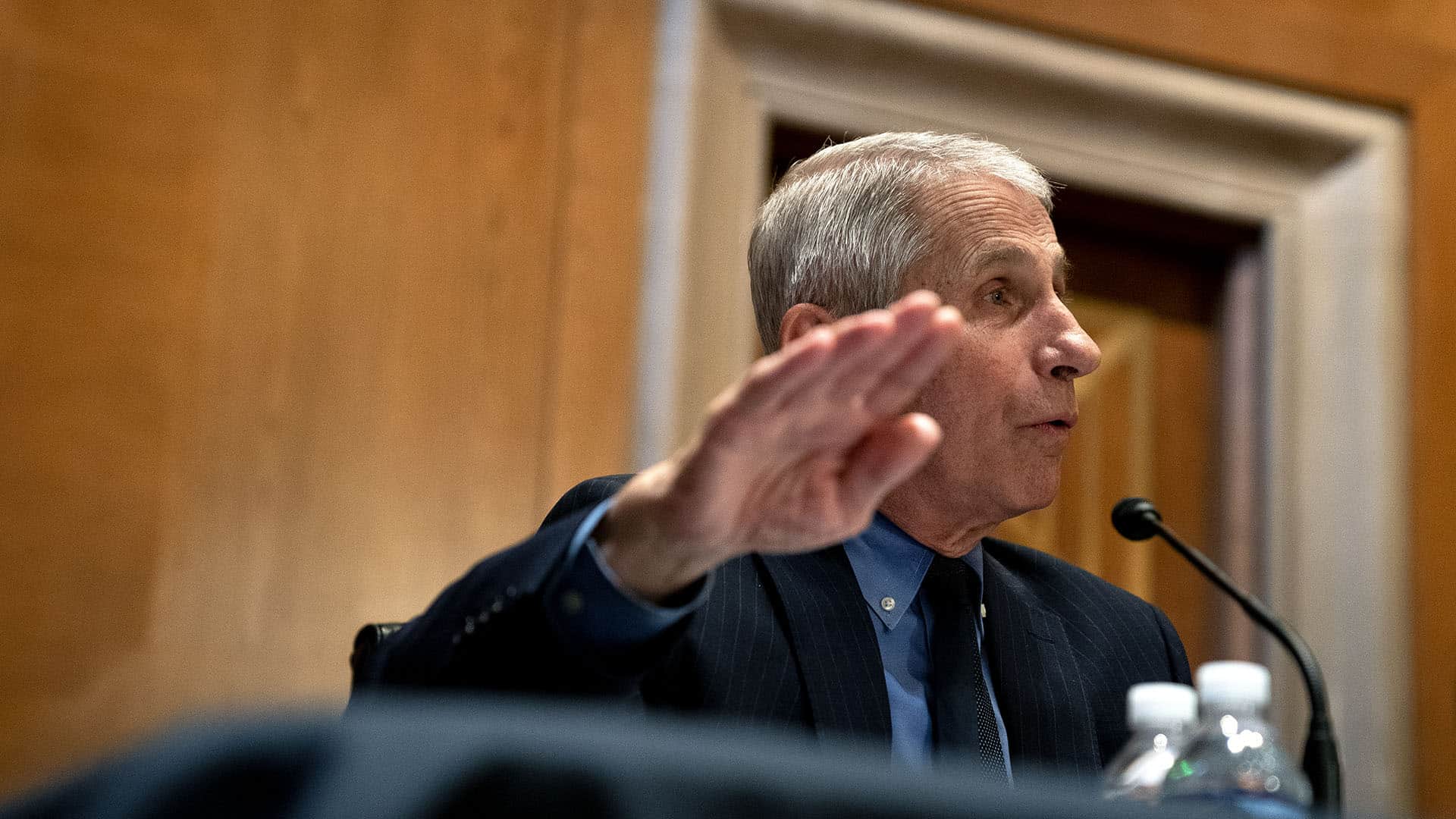 Dr. Fauci