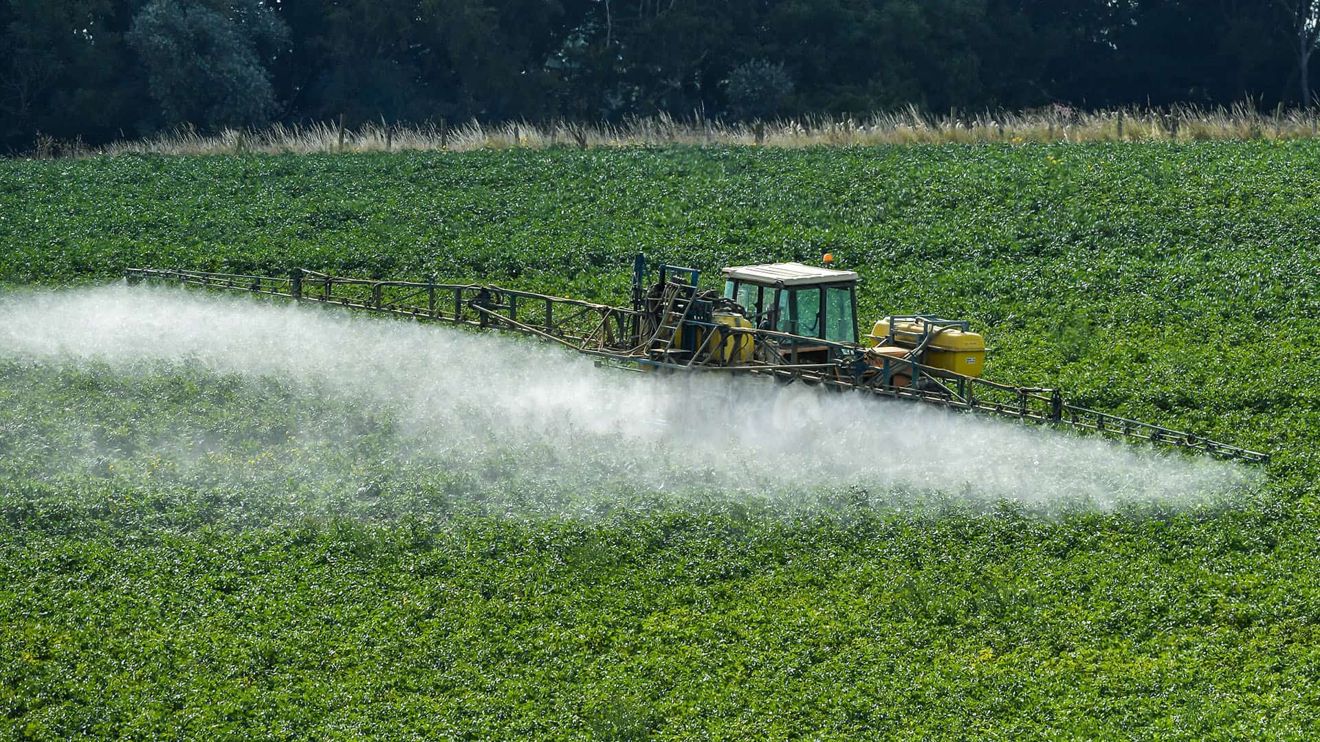 Pesticides