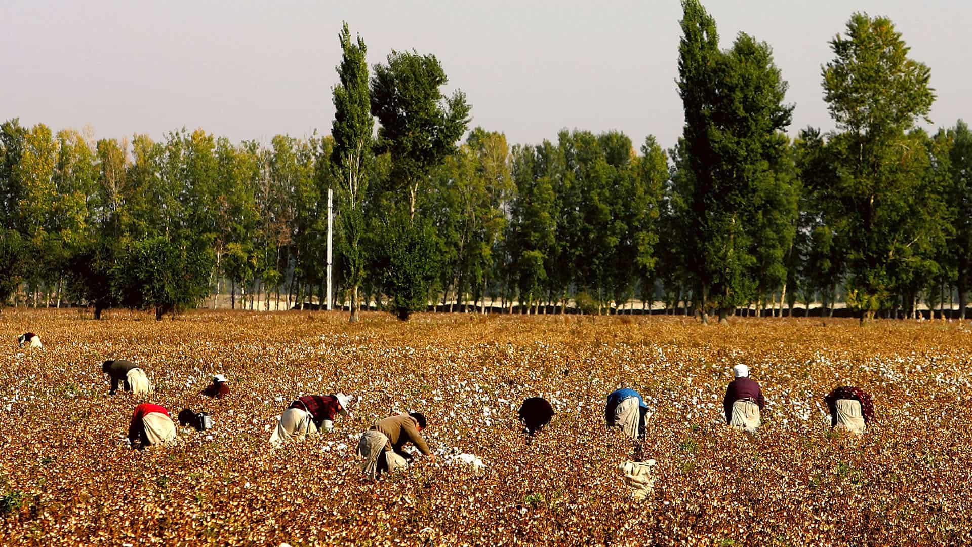 Xinjiang