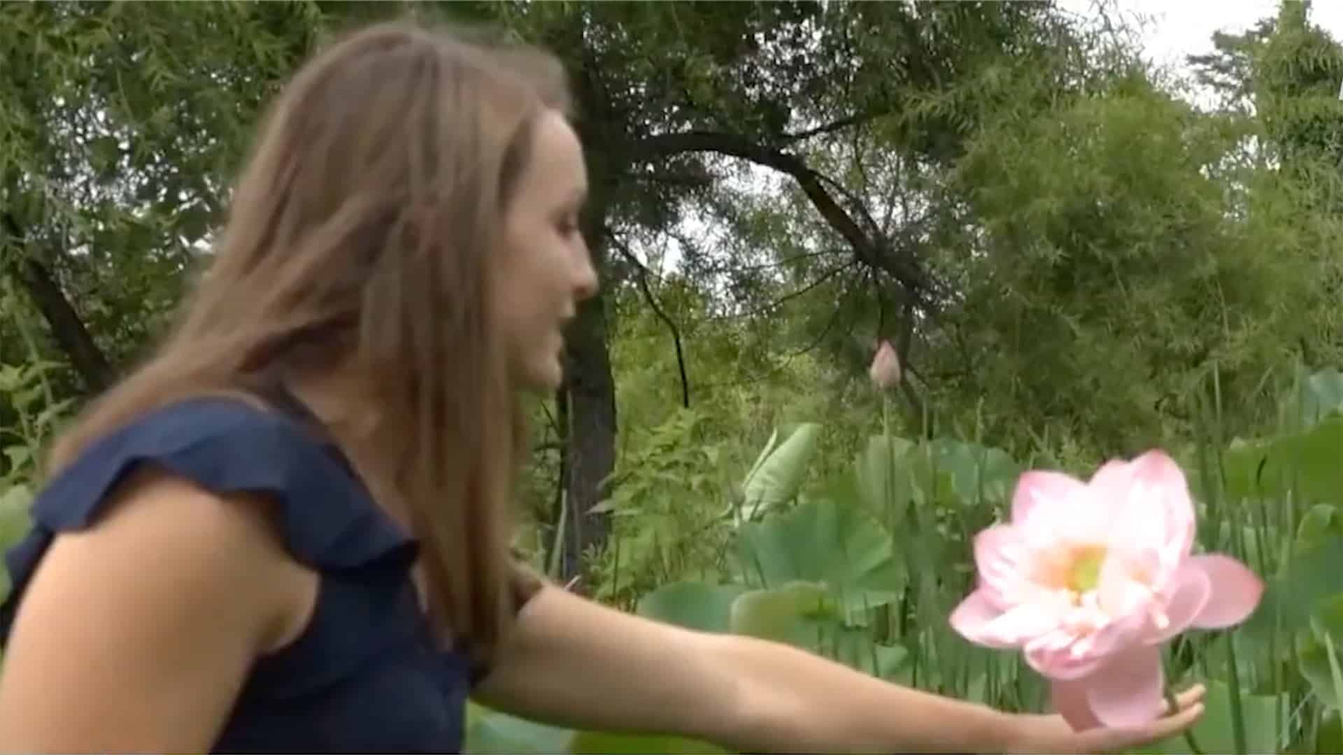 Festival du lotus
