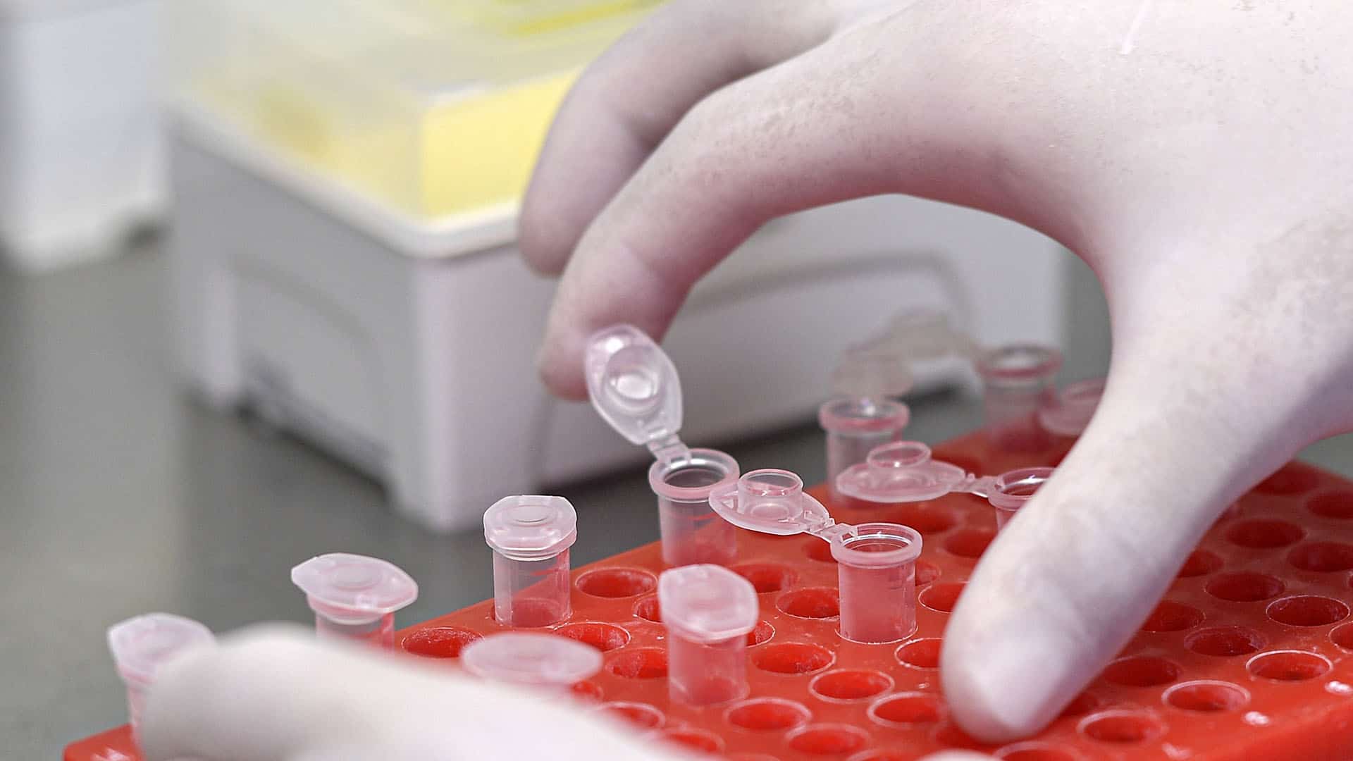 Laboratoire