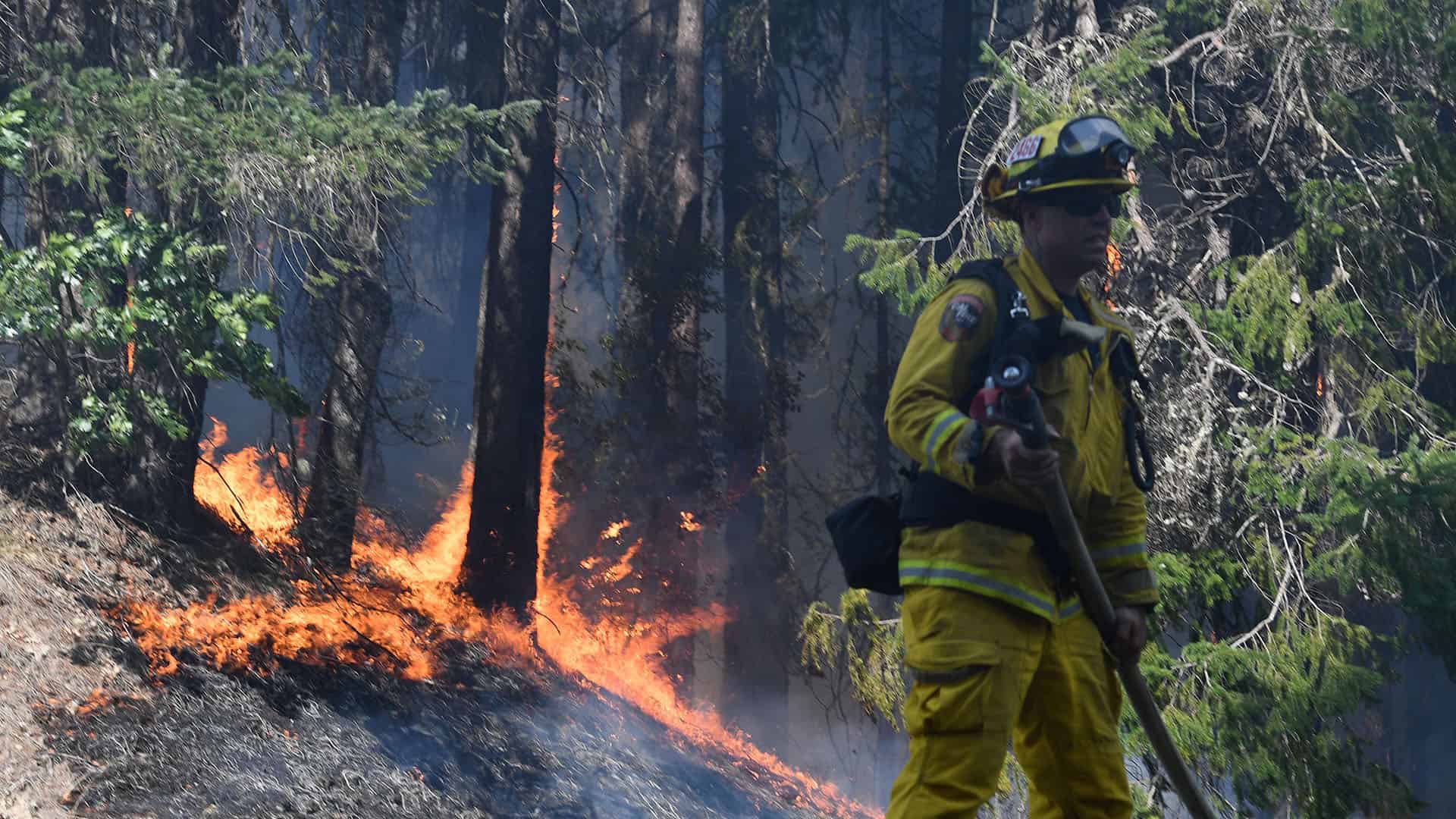 Incendie - Californie
