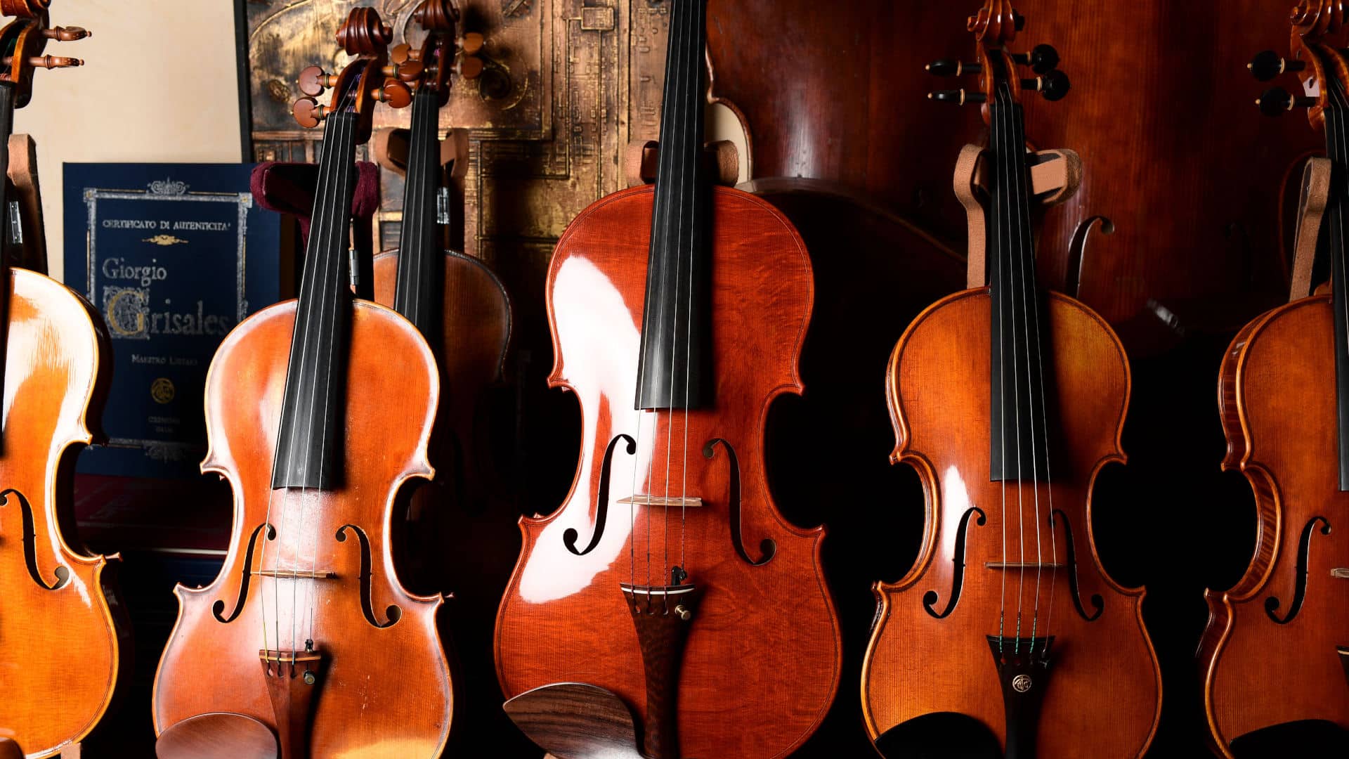 Violons