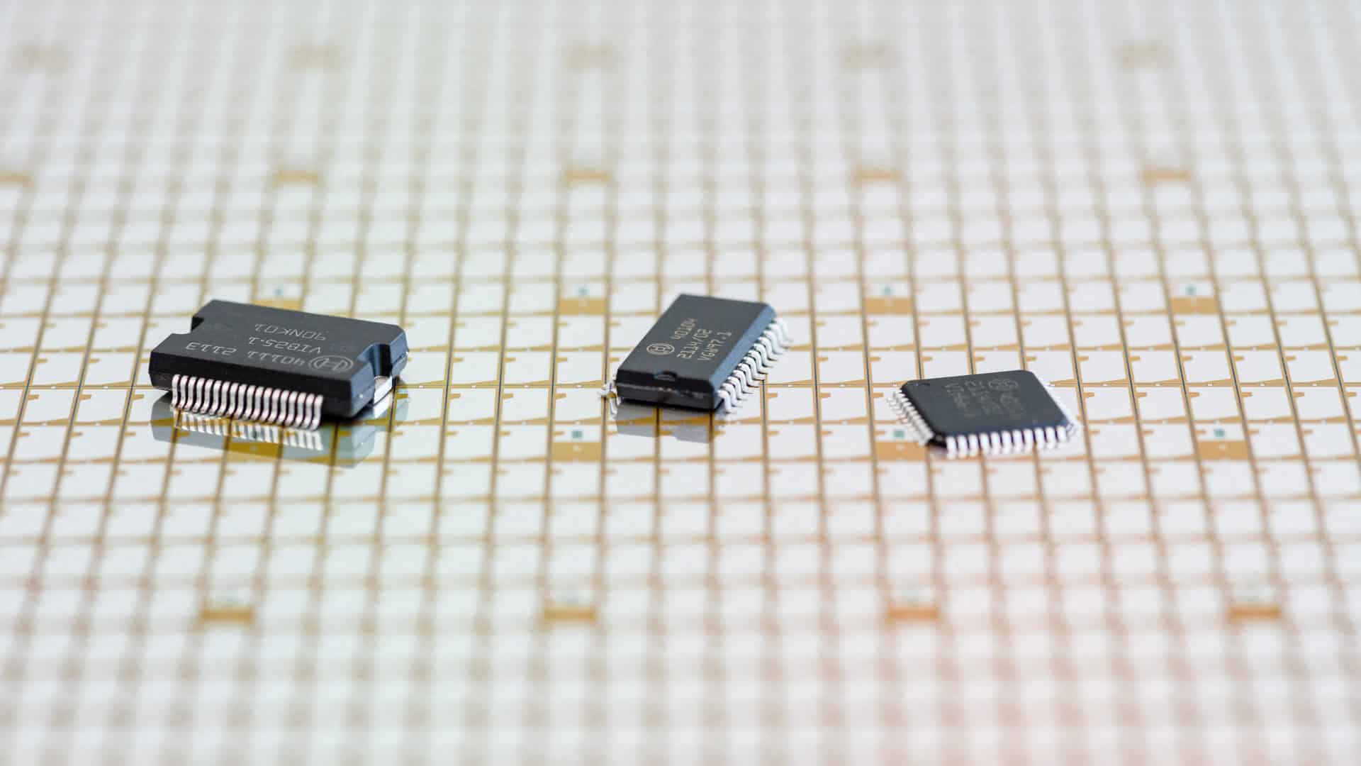 Micropuces