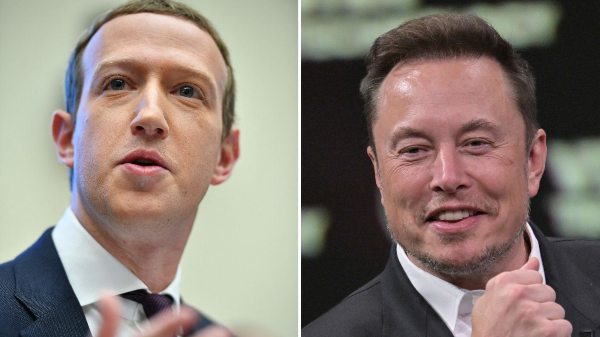 Mark Zuckerberg - Elon Musk